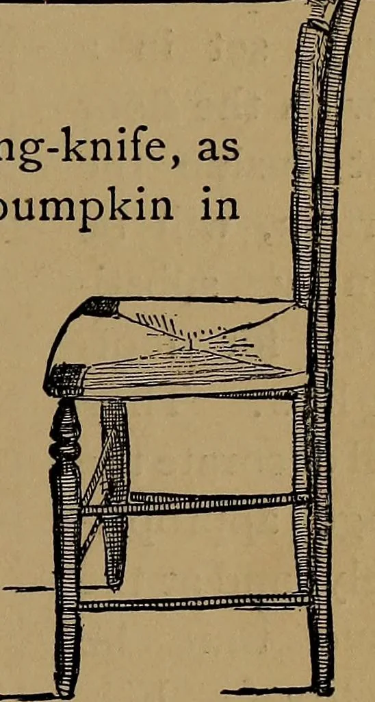 An illustration from How to amuse yourself and others : the American girl's handy book, 1887, leaf 328