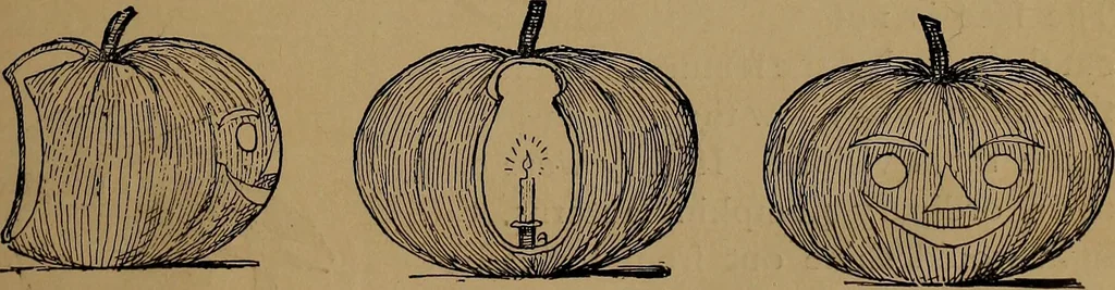 An illustration from How to amuse yourself and others : the American girl's handy book, 1887, leaf 328
