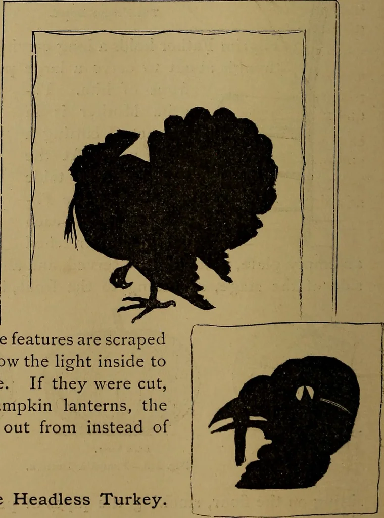 An illustration from How to amuse yourself and others : the American girl's handy book, 1887, leaf 329