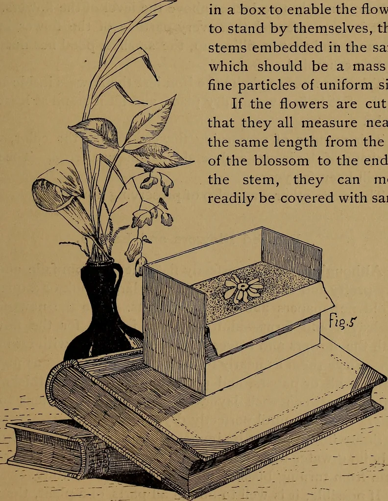 An illustration from How to amuse yourself and others : the American girl's handy book, 1887, leaf 34