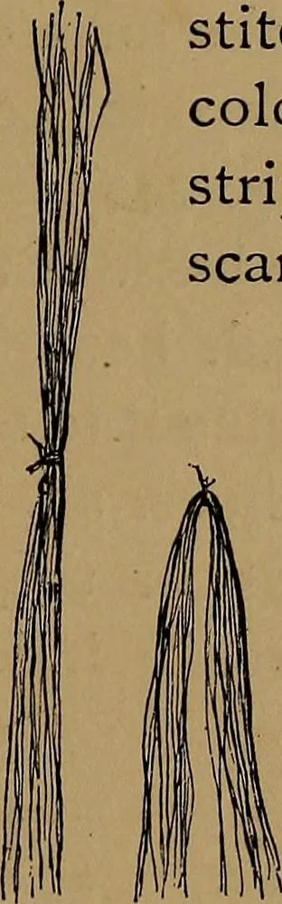 An illustration from How to amuse yourself and others : the American girl's handy book, 1887, leaf 348
