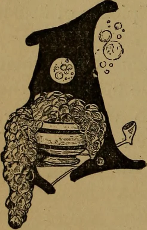 An illustration from How to amuse yourself and others : the American girl's handy book, 1887, leaf 351