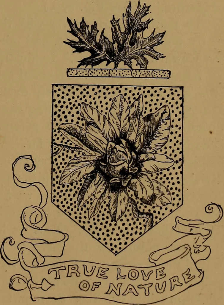 An illustration from How to amuse yourself and others : the American girl's handy book, 1887, leaf 388
