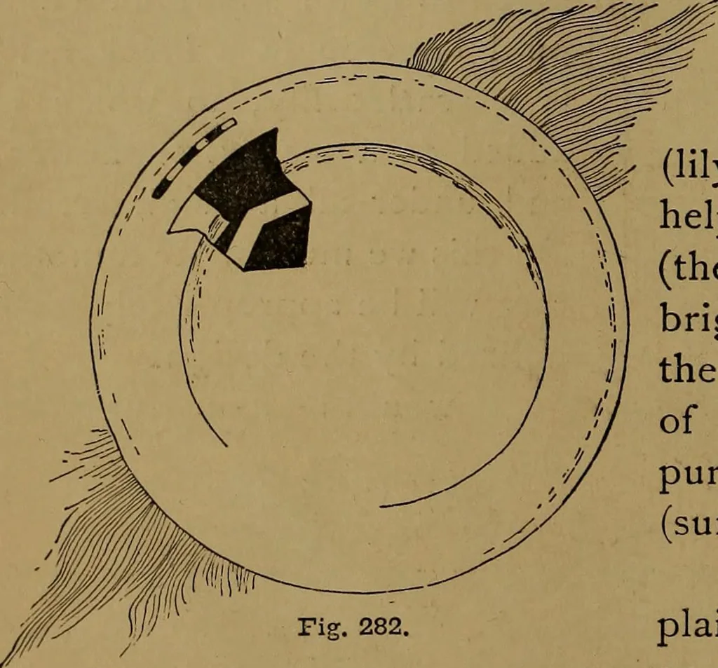 An illustration from How to amuse yourself and others : the American girl's handy book, 1887, leaf 391