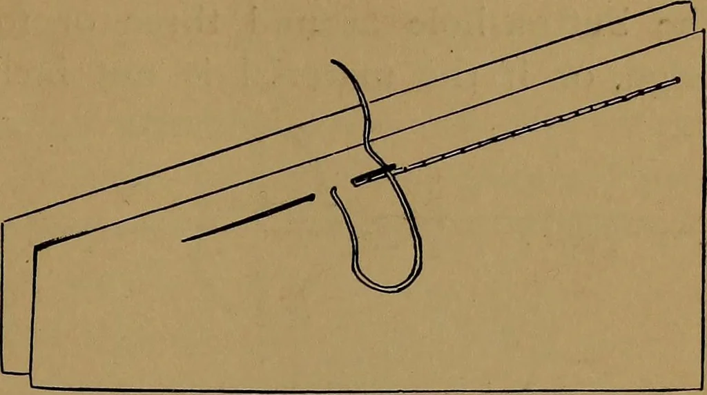 An illustration from How to amuse yourself and others : the American girl's handy book, 1887, leaf 400