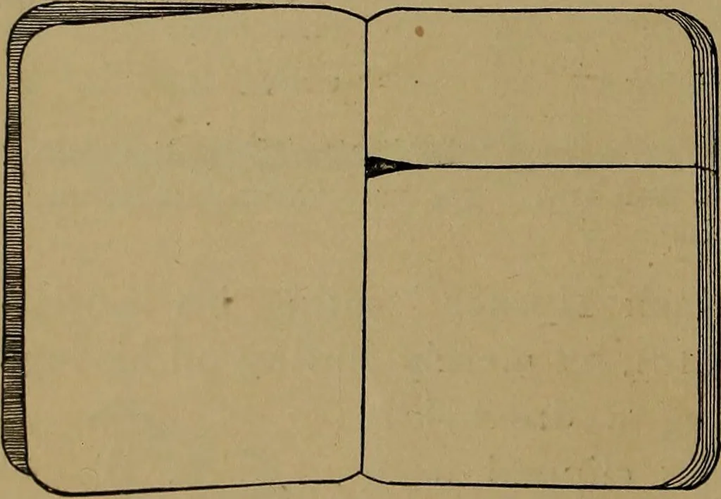 An illustration from How to amuse yourself and others : the American girl's handy book, 1887, leaf 415