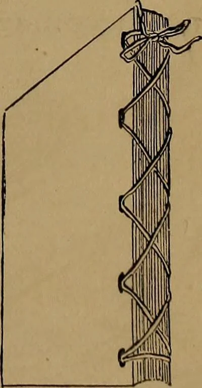 An illustration from How to amuse yourself and others : the American girl's handy book, 1887, leaf 418