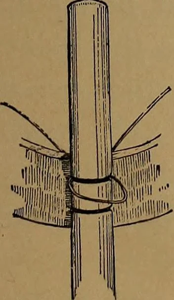 An illustration from How to amuse yourself and others : the American girl's handy book, 1887, leaf 424