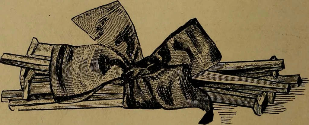 An illustration from How to amuse yourself and others : the American girl's handy book, 1887, leaf 429
