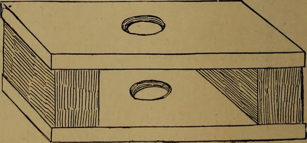 An illustration from How to amuse yourself and others : the American girl's handy book, 1887, leaf 433