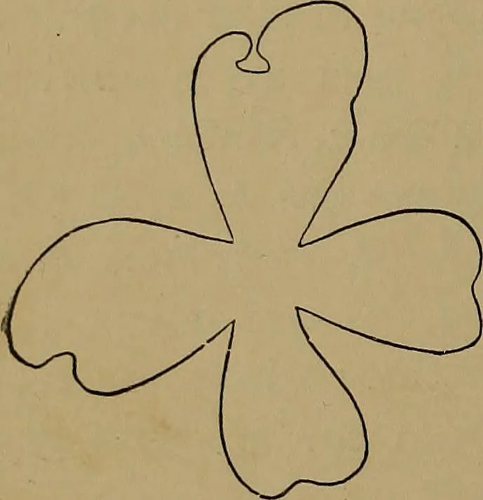 An illustration from How to amuse yourself and others : the American girl's handy book, 1887, leaf 435