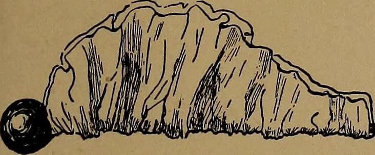 An illustration from How to amuse yourself and others : the American girl's handy book, 1887, leaf 436