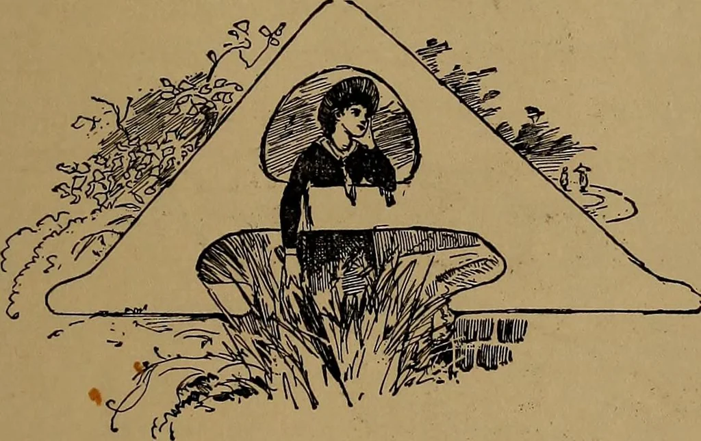 An illustration from How to amuse yourself and others : the American girl's handy book, 1887, leaf 44
