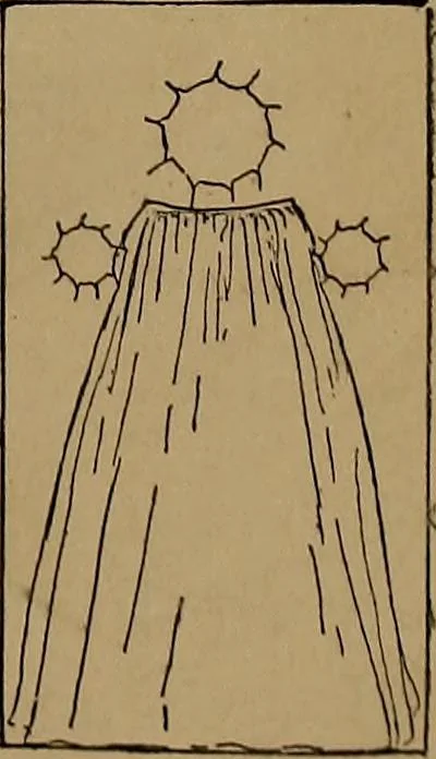 An illustration from How to amuse yourself and others : the American girl's handy book, 1887, leaf 440