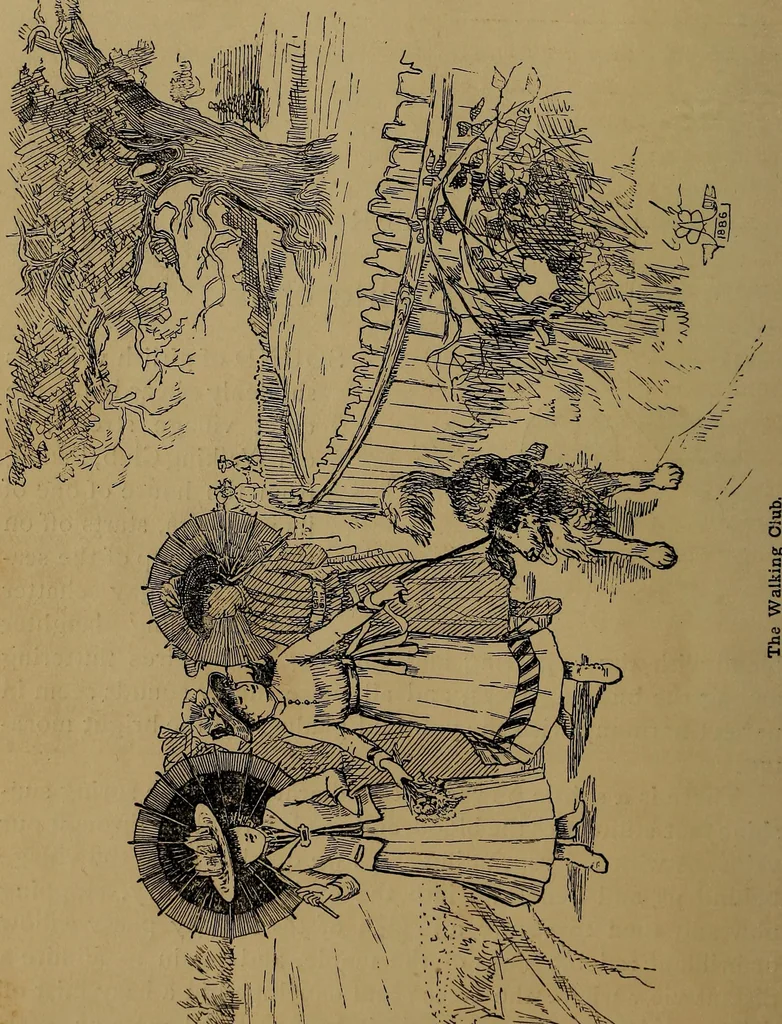An illustration from How to amuse yourself and others : the American girl's handy book, 1887, leaf 45