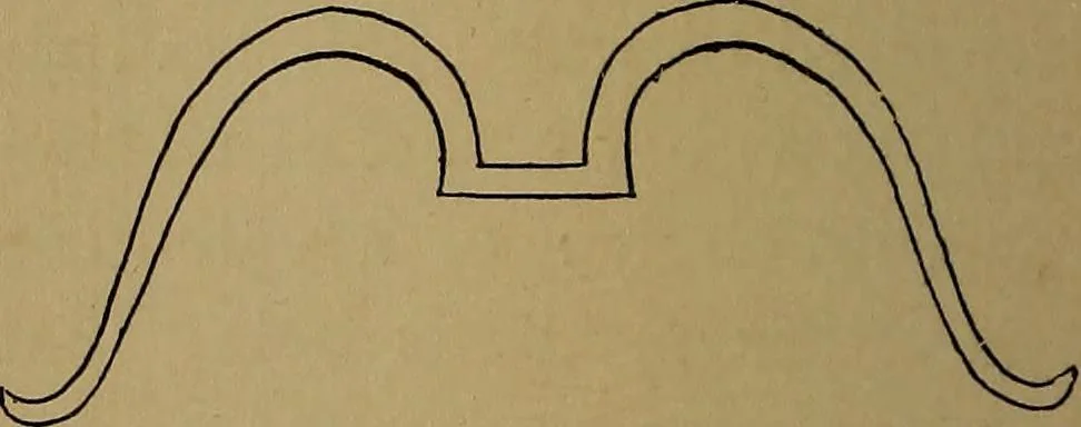 An illustration from How to amuse yourself and others : the American girl's handy book, 1887, leaf 483