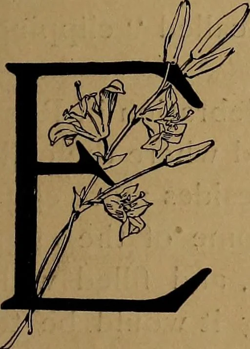 An illustration from How to amuse yourself and others : the American girl's handy book, 1887, leaf 50