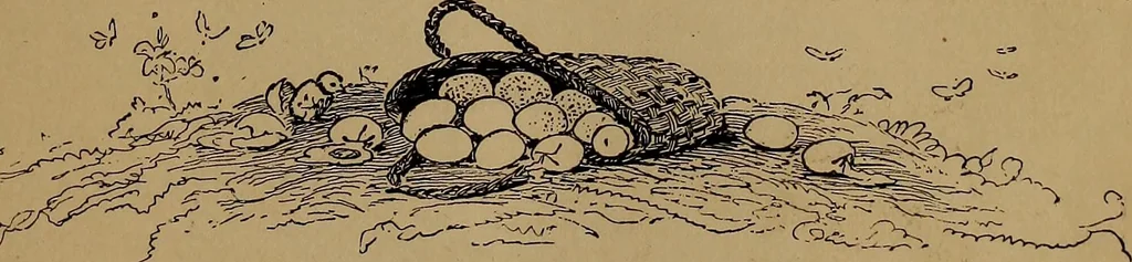An illustration from How to amuse yourself and others : the American girl's handy book, 1887, leaf 70