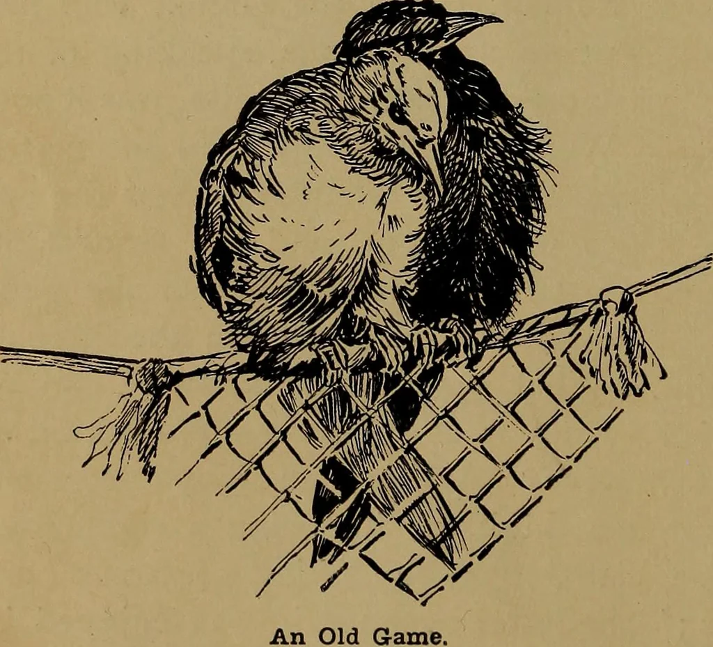An illustration from How to amuse yourself and others : the American girl's handy book, 1887, leaf 73