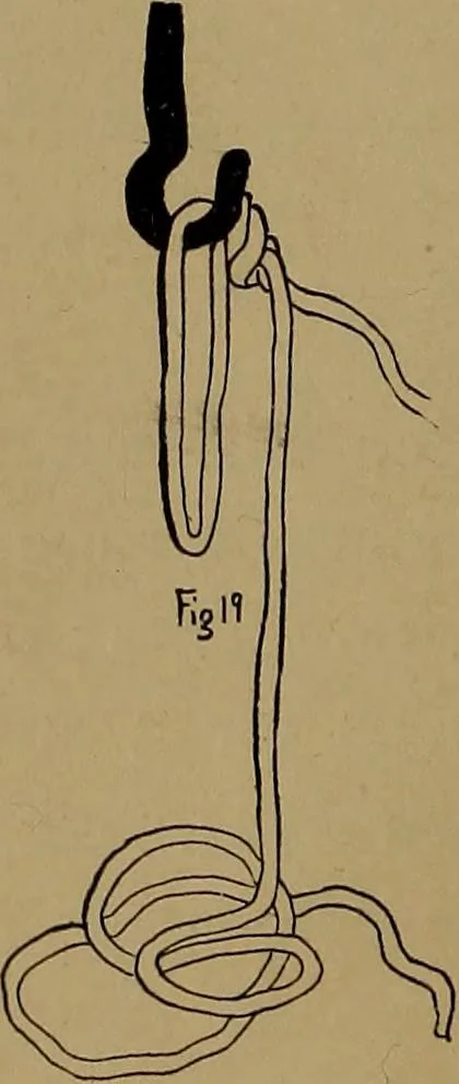 An illustration from How to amuse yourself and others : the American girl's handy book, 1887, leaf 75
