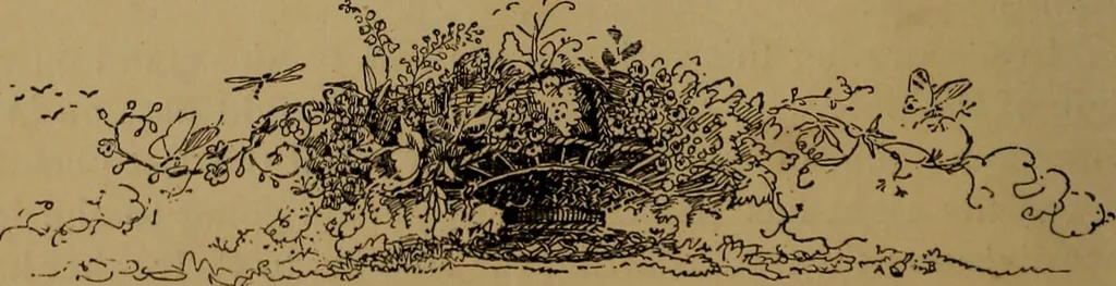 An illustration from How to amuse yourself and others : the American girl's handy book, 1887, leaf 97