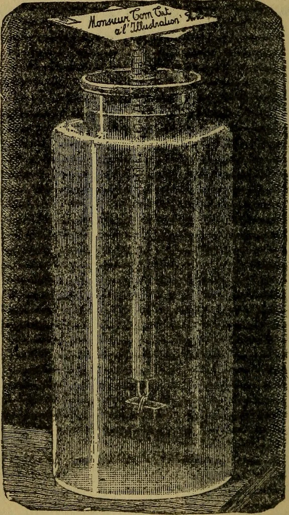 An illustration from How to behave and how to amuse. A handy manual of etiquette and parlor games, 1895, leaf 113