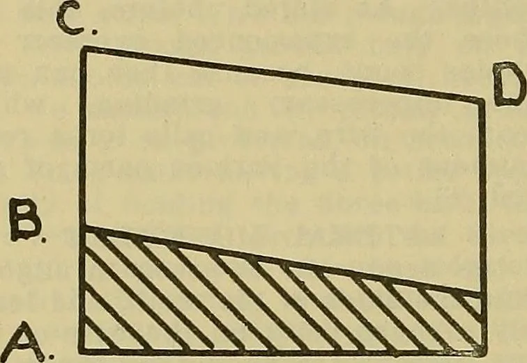 An illustration from How to build, equip and operate a cotton mill in the United States, 1913, leaf 239