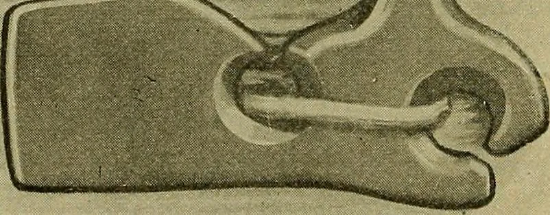 An illustration from How to build, equip and operate a cotton mill in the United States, 1913, leaf 301