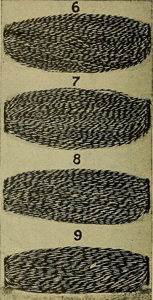An illustration from How to build, equip and operate a cotton mill in the United States, 1913, leaf 605