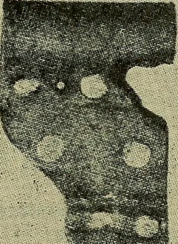 An illustration from How to build, equip and operate a cotton mill in the United States, 1913, leaf 626