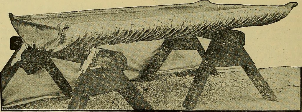 An illustration from How to build, equip and operate a cotton mill in the United States, 1913, leaf 63