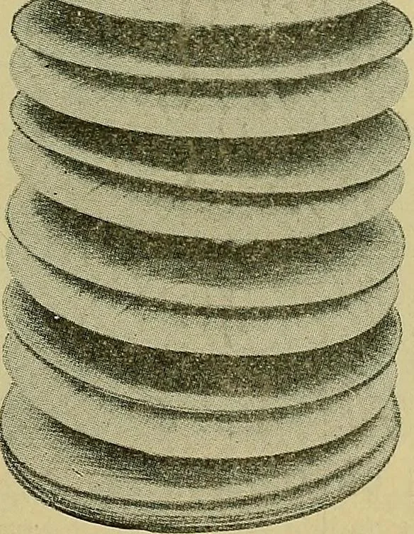 An illustration from How to build, equip and operate a cotton mill in the United States, 1913, leaf 86