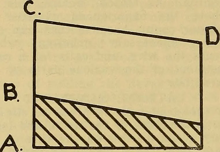 An illustration from How to build, equip and operate a cotton mill in the United States, 1913, leaf 235