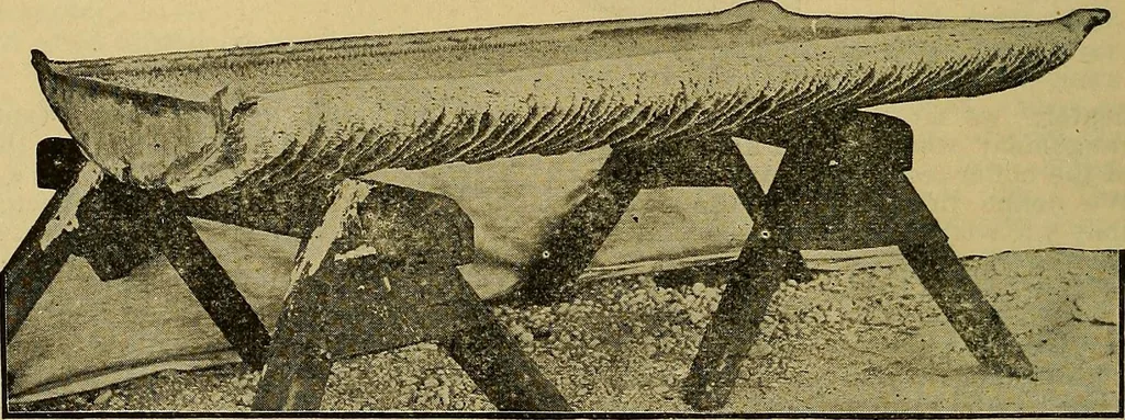 An illustration from How to build, equip and operate a cotton mill in the United States, 1913, leaf 59