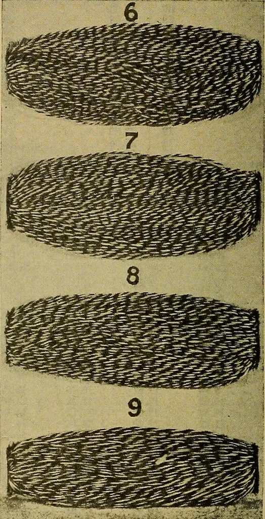 An illustration from How to build, equip and operate a cotton mill in the United States, 1913, leaf 601