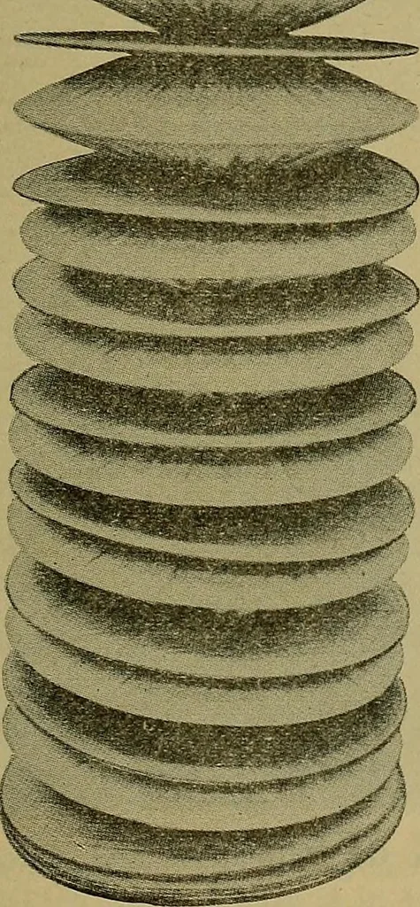 An illustration from How to build, equip and operate a cotton mill in the United States, 1913, leaf 82