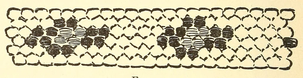 An illustration from How to do beadwork, 1904, leaf 90