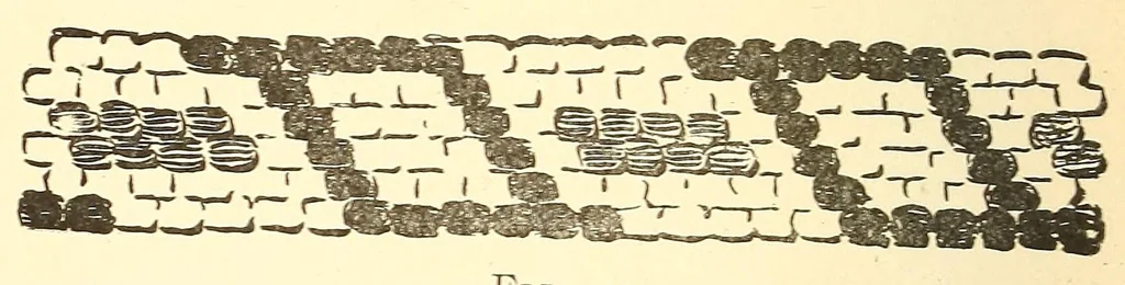 An illustration from How to do beadwork, 1904, leaf 92