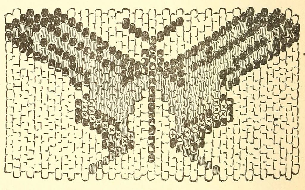 An illustration from How to do beadwork, 1904, leaf 98