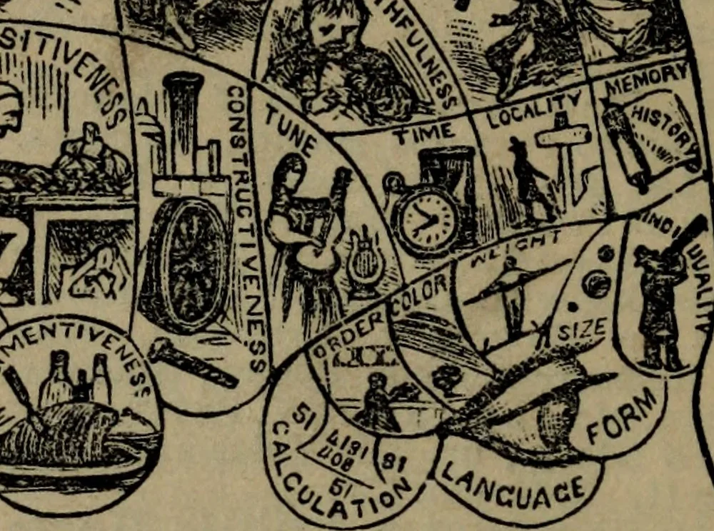 An illustration from How to educate the feelings or affections : and bring the dispositions, aspirations, and passions into harmony with sound intelligence and morality, 1880, leaf 291