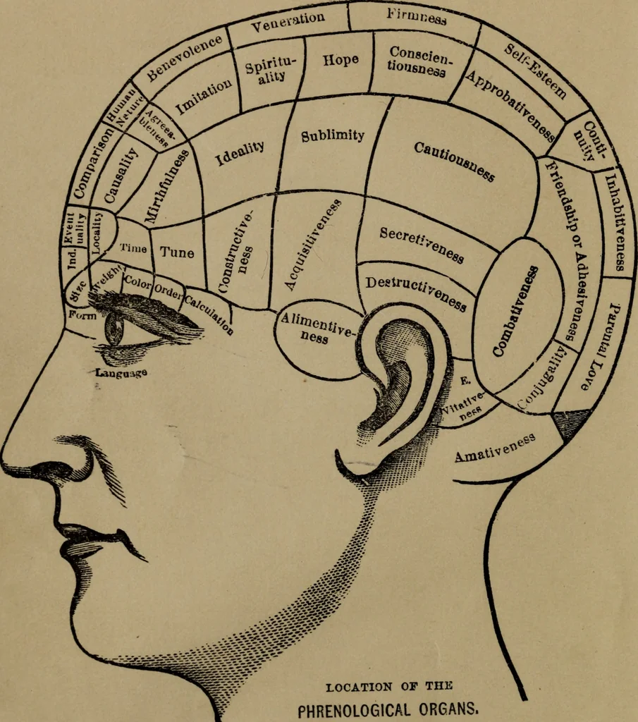 An illustration from How to educate the feelings or affections : and bring the dispositions, aspirations, and passions into harmony with sound intelligence and morality, 1880, leaf 7