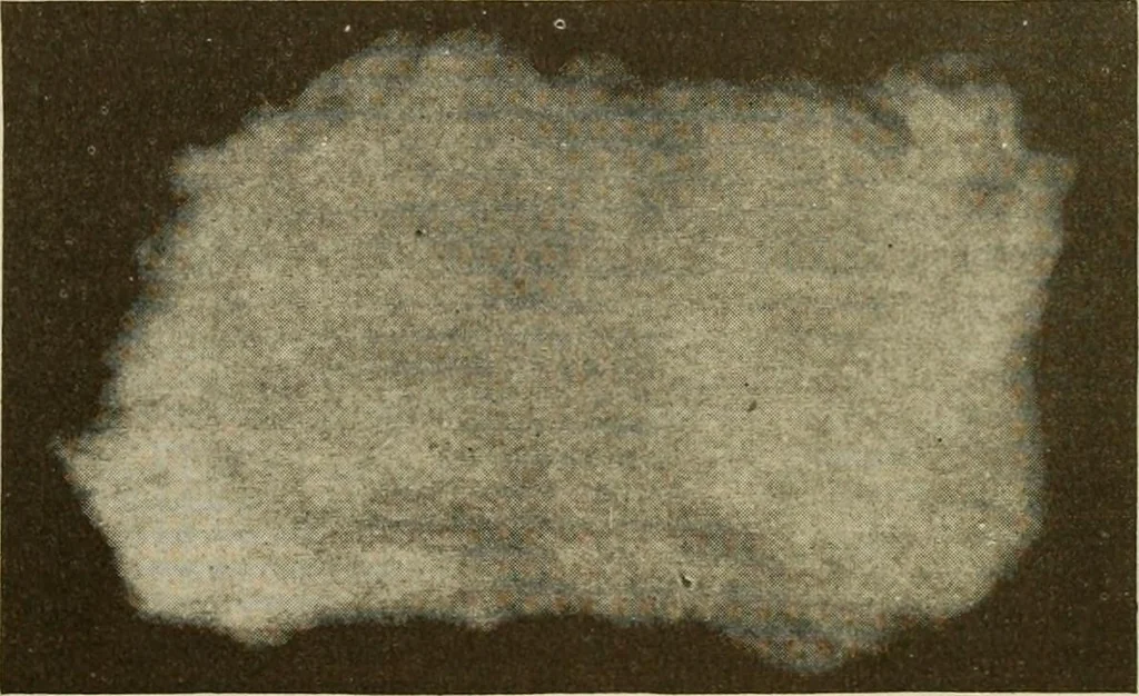 An illustration from How to improve woolen and worsted mill operations, 1900, leaf 48
