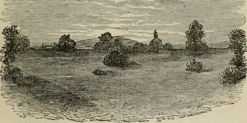 An illustration from How to lay out a garden : intended as a general guide in choosing, forming, or improving an estate, (from a quarter of an acre to a hundred acres in extent) with reference to both design and execution, 1860, leaf 100