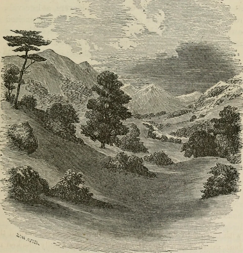An illustration from How to lay out a garden : intended as a general guide in choosing, forming, or improving an estate, (from a quarter of an acre to a hundred acres in extent) with reference to both design and execution, 1860, leaf 102