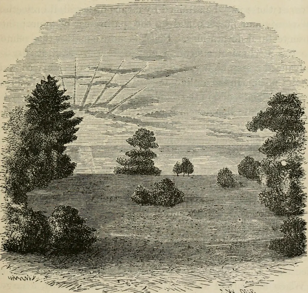 An illustration from How to lay out a garden : intended as a general guide in choosing, forming, or improving an estate, (from a quarter of an acre to a hundred acres in extent) with reference to both design and execution, 1860, leaf 104