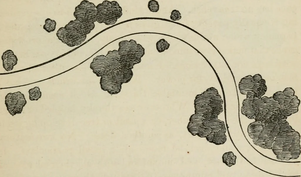 An illustration from How to lay out a garden : intended as a general guide in choosing, forming, or improving an estate, (from a quarter of an acre to a hundred acres in extent) with reference to both design and execution, 1860, leaf 110