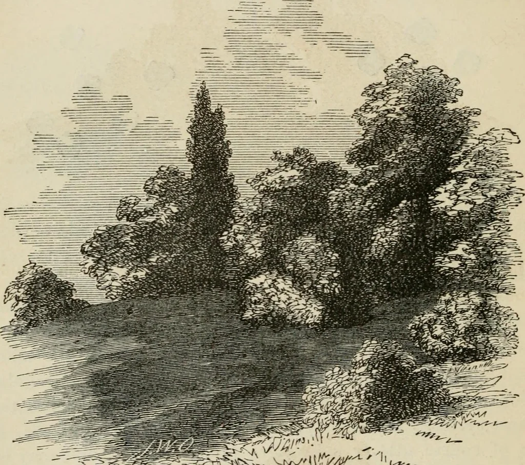 An illustration from How to lay out a garden : intended as a general guide in choosing, forming, or improving an estate, (from a quarter of an acre to a hundred acres in extent) with reference to both design and execution, 1860, leaf 113