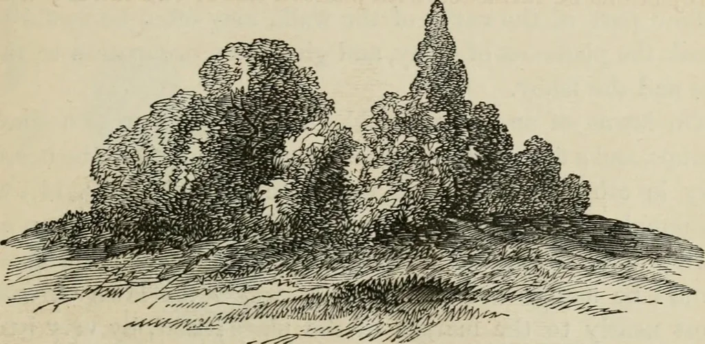 An illustration from How to lay out a garden : intended as a general guide in choosing, forming, or improving an estate, (from a quarter of an acre to a hundred acres in extent) with reference to both design and execution, 1860, leaf 114