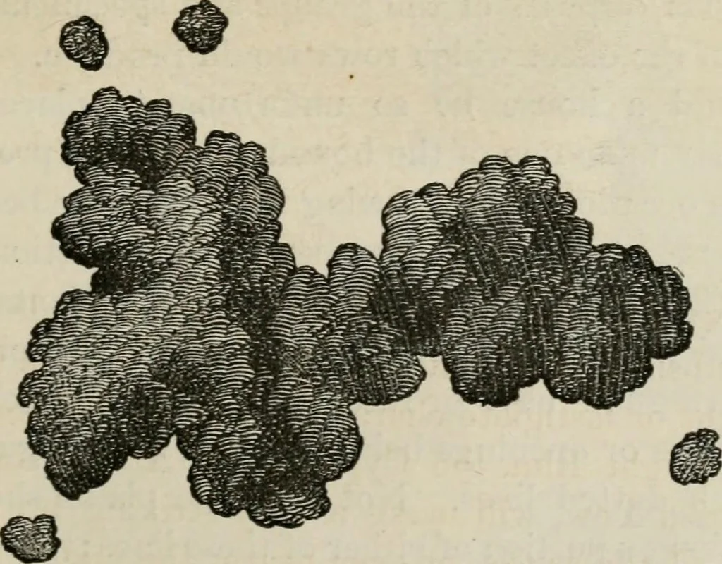 An illustration from How to lay out a garden : intended as a general guide in choosing, forming, or improving an estate, (from a quarter of an acre to a hundred acres in extent) with reference to both design and execution, 1860, leaf 114