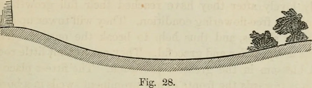 An illustration from How to lay out a garden : intended as a general guide in choosing, forming, or improving an estate, (from a quarter of an acre to a hundred acres in extent) with reference to both design and execution, 1860, leaf 122